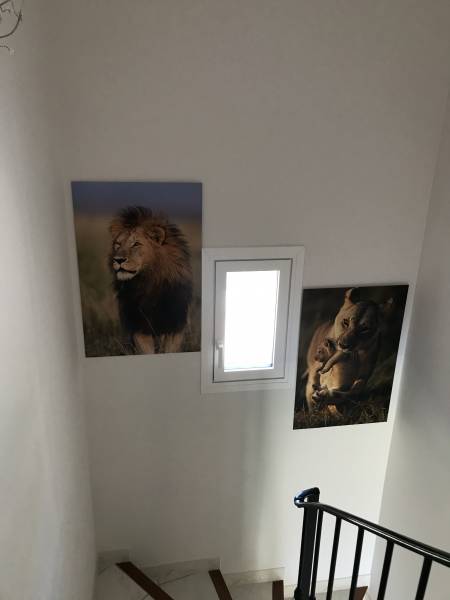 Fenêtre 1 vantail OB en alu avec vitrage dépoli dans le 83 (Sanary sur Mer)